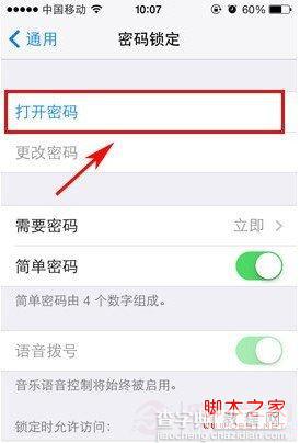 苹果iphone5s怎么设置密码？iphon5s传统的手机密码设置教程2