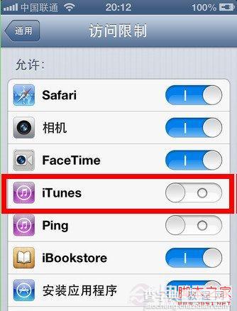 如何用iphone的访问限制来隐藏自带应用软件 图文教程4