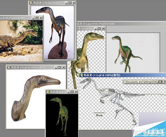 MAYA 7.0恐龙建模的方法和制作步骤介绍2