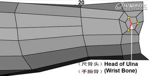 MAYA男性角色手臂建模教程21