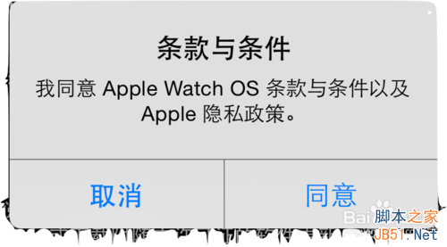 怎么在iPhone 上与苹果手表Apple Watch配对激活？11