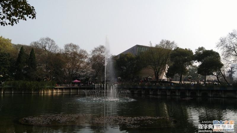 酷派大神X7全网通拍照评测 武汉大学樱花之旅(图赏)26