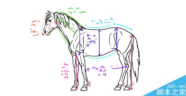 你为什么不能成为一名好画师?绘画初学者的七宗罪5
