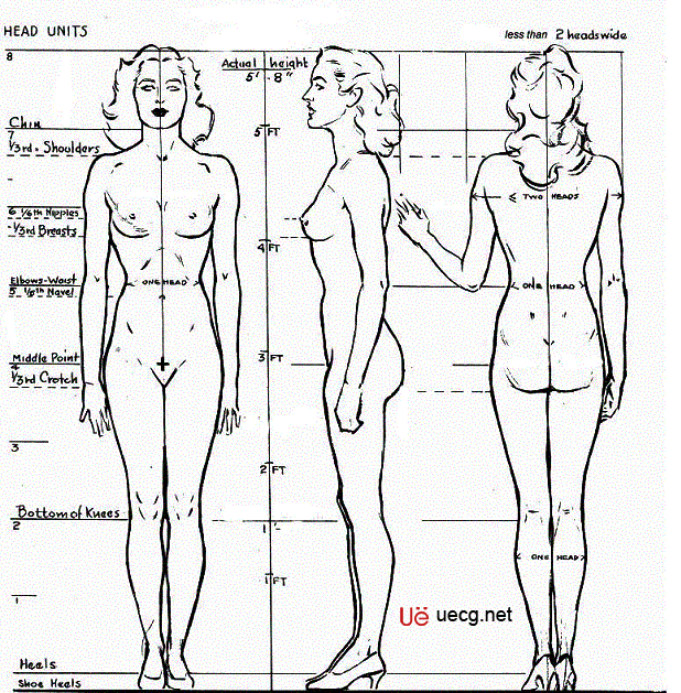 Maya人体造型解剖学基础12