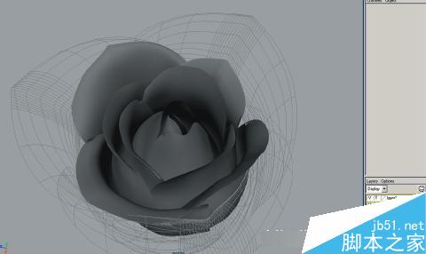 maya7.0制作漂亮的红玫瑰花建模15