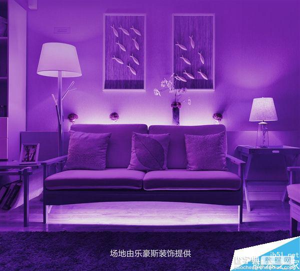 小米Yeelight彩光灯带正式发布:售价169元/1600万种色彩24