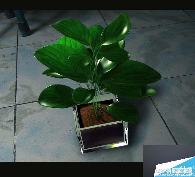 MAYA SSS制作真实的绿色植物材质教程14
