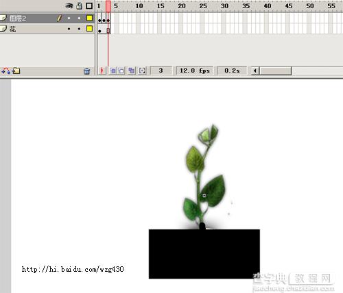 Flash实例：制作树叶逐渐展开动画3