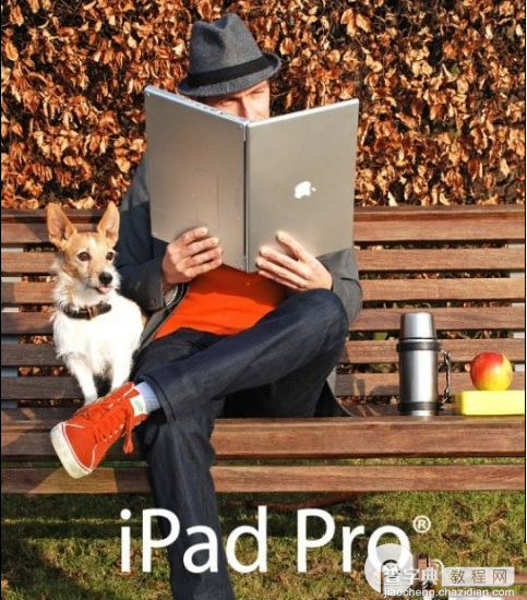 ipad pro怎么样 ipad pro屏幕有多大 ipad pro屏幕尺寸1