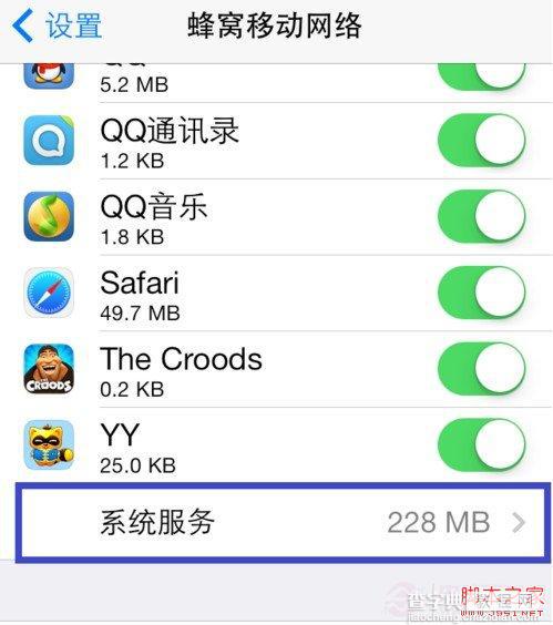 iOS7蜂窝移动网络的强大新功能介绍6