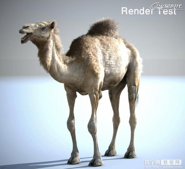 3DSMAX制作逼真的沙漠里骆驼教程8