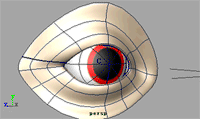MAYA制作眼球连带眼皮转动的gif动画教程1