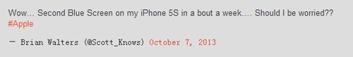 iPhone5s蓝屏死机故障式重启的原因及解决方法2