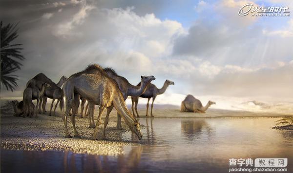 3DSMAX制作逼真的沙漠里骆驼教程14