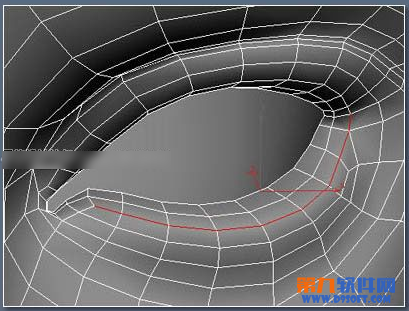 3dsMax绘制逼真的浓密深褐色眼睫毛教程2