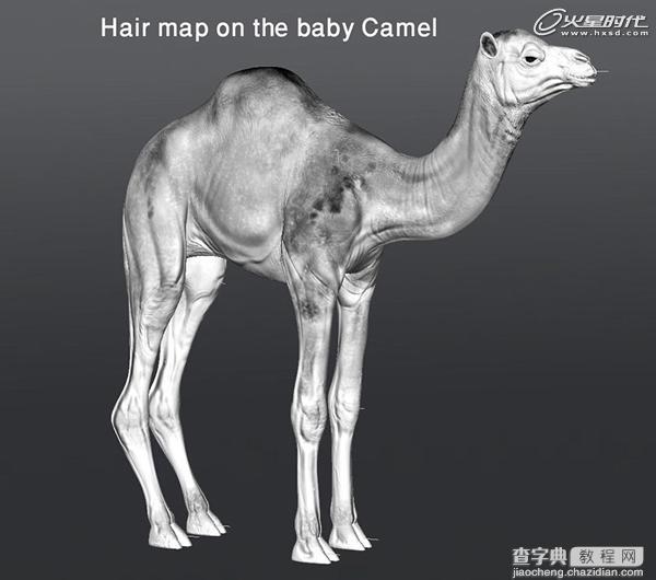 3DSMAX制作逼真的沙漠里骆驼教程9