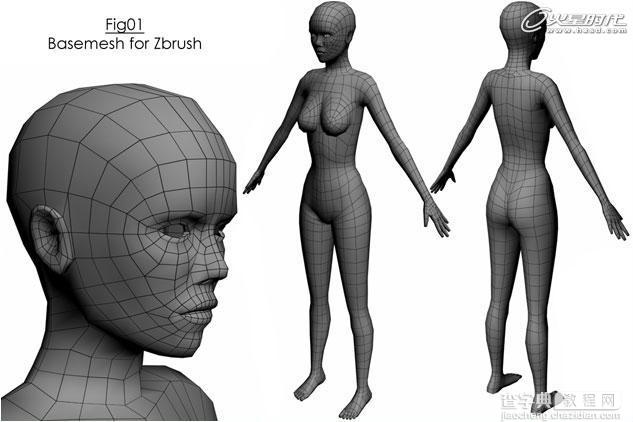 3DMAX打造超酷的次世代女机器人角色教程2