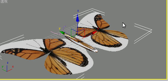 3D max制作蝴蝶舞动的GIF动画效果17