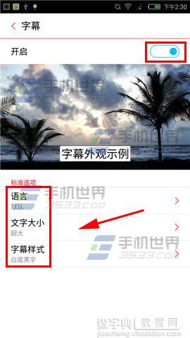 努比亚Z9mini手机字幕设置大小的方法4
