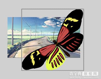 教你利用flash引导线制作飞舞的蝴蝶7