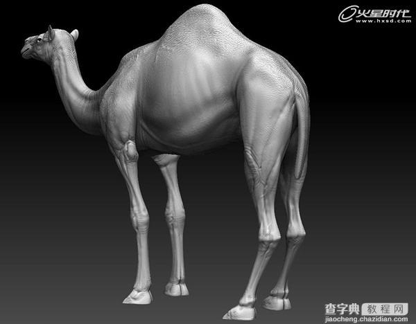 3DSMAX制作逼真的沙漠里骆驼教程3