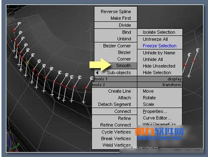 3dsMax绘制逼真的浓密深褐色眼睫毛教程10