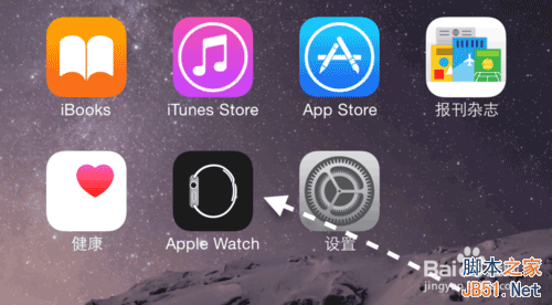 怎么在iPhone上使用Apple Watch 应用?2