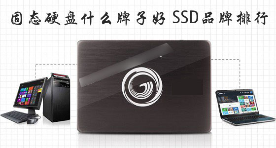 固态硬盘什么牌子好？SSD固态硬盘品牌排行图文介绍1