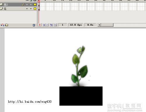 Flash实例：制作树叶逐渐展开动画2