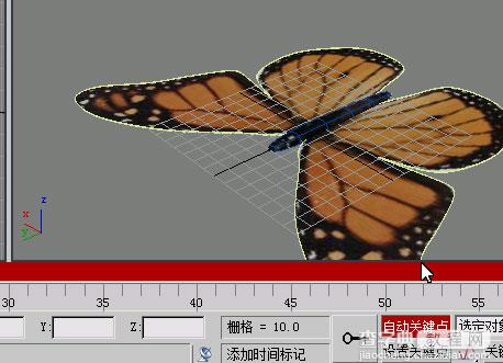 3D max制作蝴蝶舞动的GIF动画效果20
