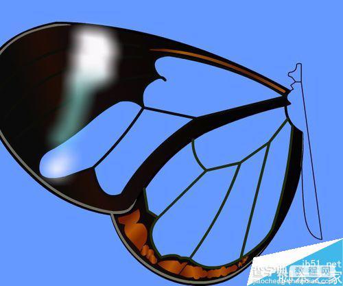 flash绘制一只漂亮的玻璃蝴蝶13
