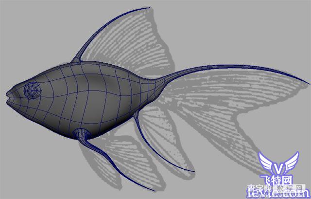 Maya教程 制作鱼的模型全过程10