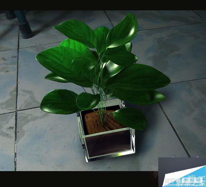 MAYA SSS制作真实的绿色植物材质教程1