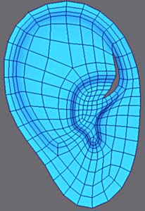 3ds Max建模教程：多边形耳朵10