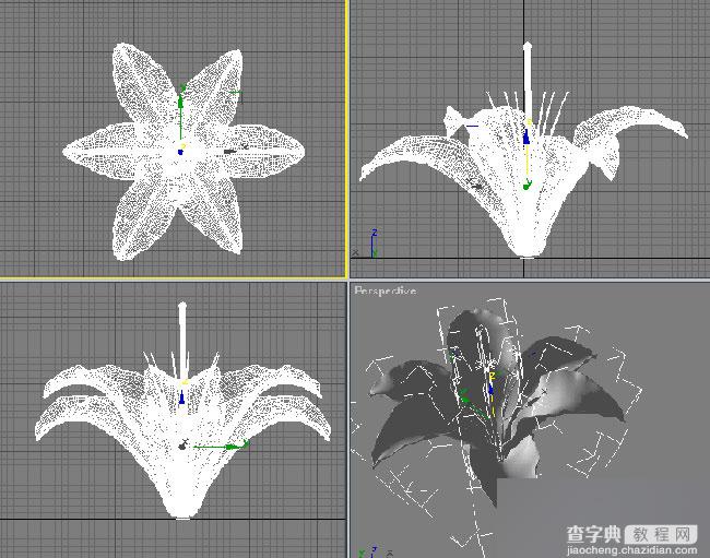 3DMAX简单制作一朵纯洁的百合花7