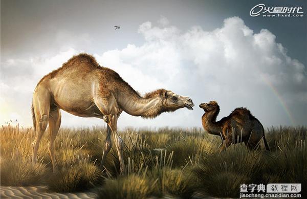 3DSMAX制作逼真的沙漠里骆驼教程13