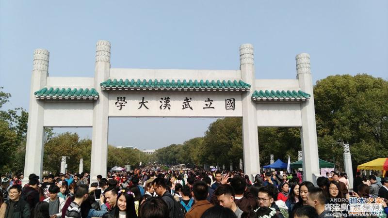 酷派大神X7全网通拍照评测 武汉大学樱花之旅(图赏)5