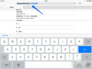 iPad Air怎么设置上网？苹果平板常用的上网方法图解6