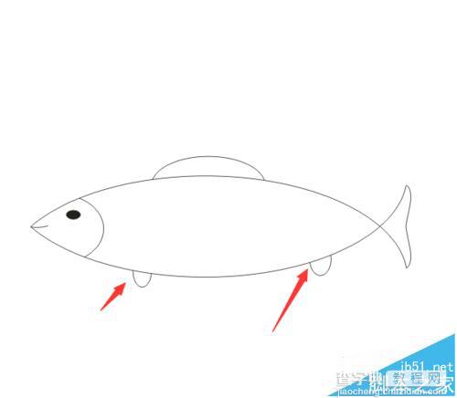 cdr中怎么绘制一个手绘小鱼?32