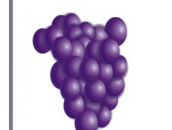 CorelDRAW X3绘制一串带有露珠的真实紫葡萄5