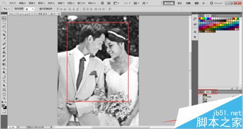 PS利用锐化工具把模糊图片处理变的清晰12
