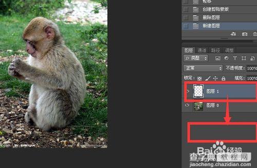 photoshop剪切蒙版的操作及原理实例讲解3