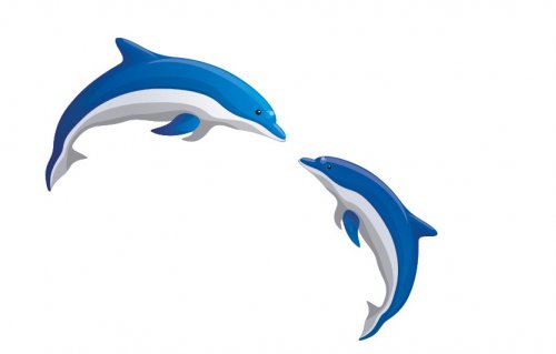 CorelDRAW绘制一幅海豚嬉戏的海上风光效果图14