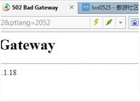 502 bad gateway是什么意思？502 bad gateway错误解决办法1