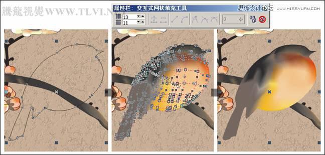 CorelDRAW(CDR)设计制作中国风花鸟工笔画实例教程21