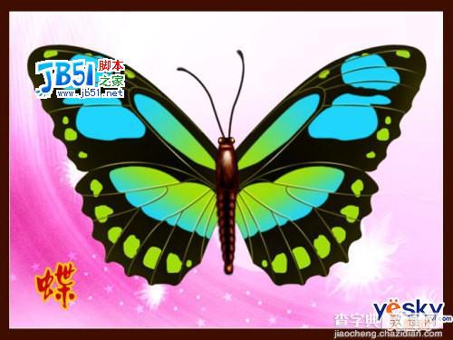 Photoshop路径工具鼠绘美丽的彩色蝴蝶1