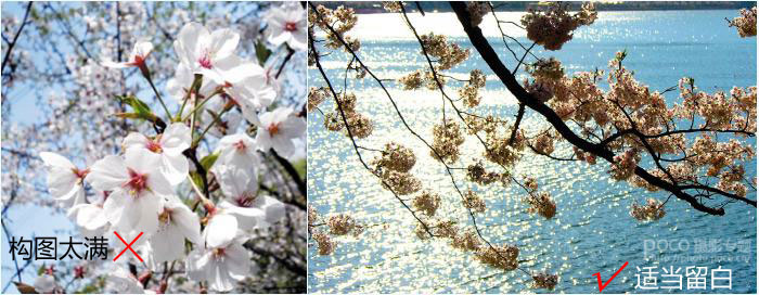 教你如何在春天樱花摄影技巧教程4