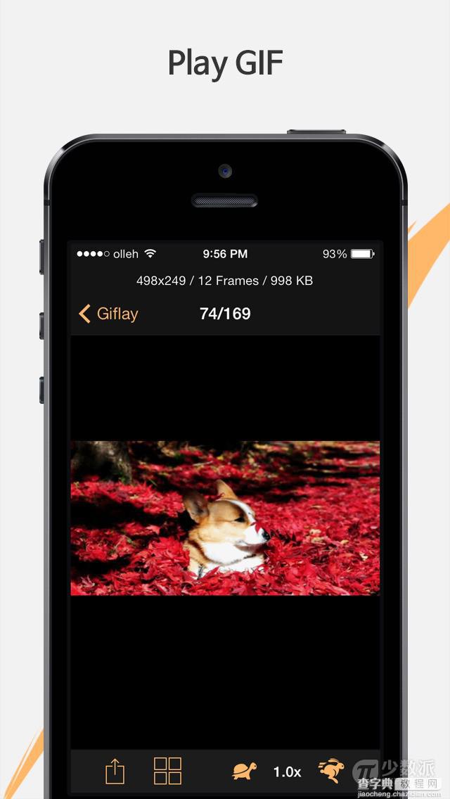Giflay，可以在 iOS 上看 GIF 动图的相册3