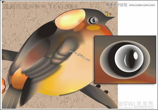 CorelDRAW(CDR)设计制作中国风花鸟工笔画实例教程31