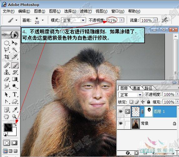 Photoshop蒙版人和猴换脸教程7